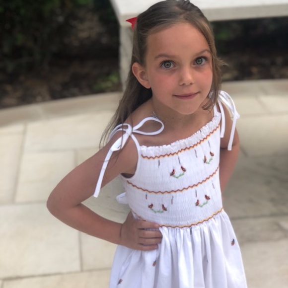 NEW Emily Lacey Hand Smocked Parrot Sundress - Picture 1 of 2